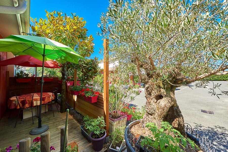 Residence La Baie Des Landes Gujan-Mestras Zewnętrze zdjęcie